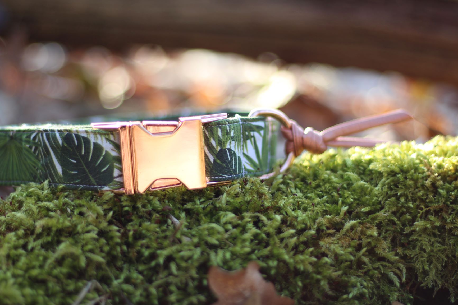 Jungle collier 2